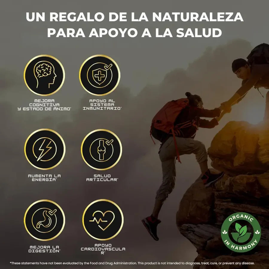 Shilajit Vital Gummies - Energía Ancestral en Cada Bocado